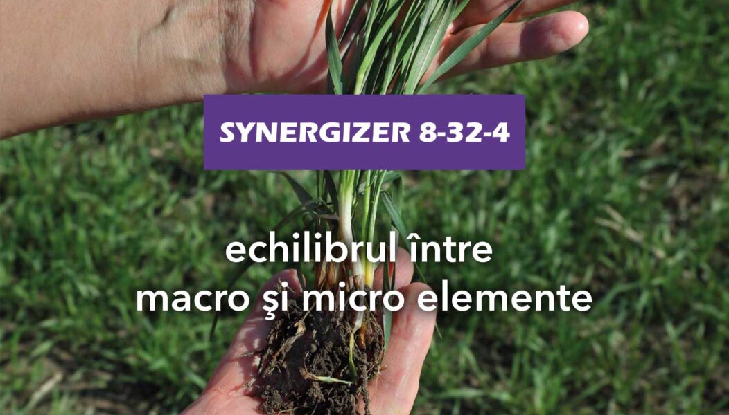 Synergizer 8-32-4