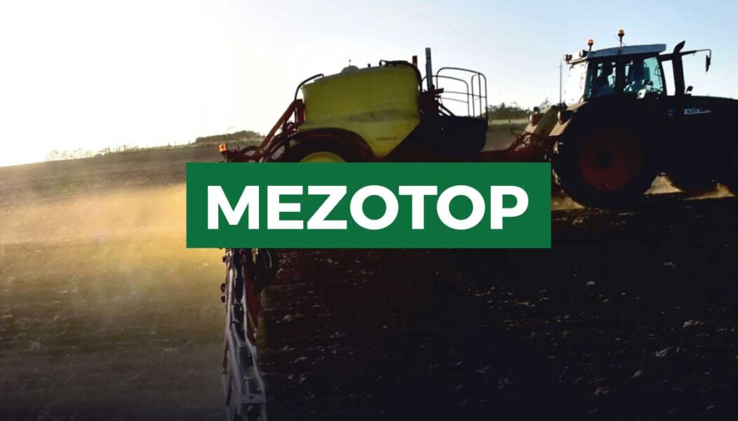 Mezotop