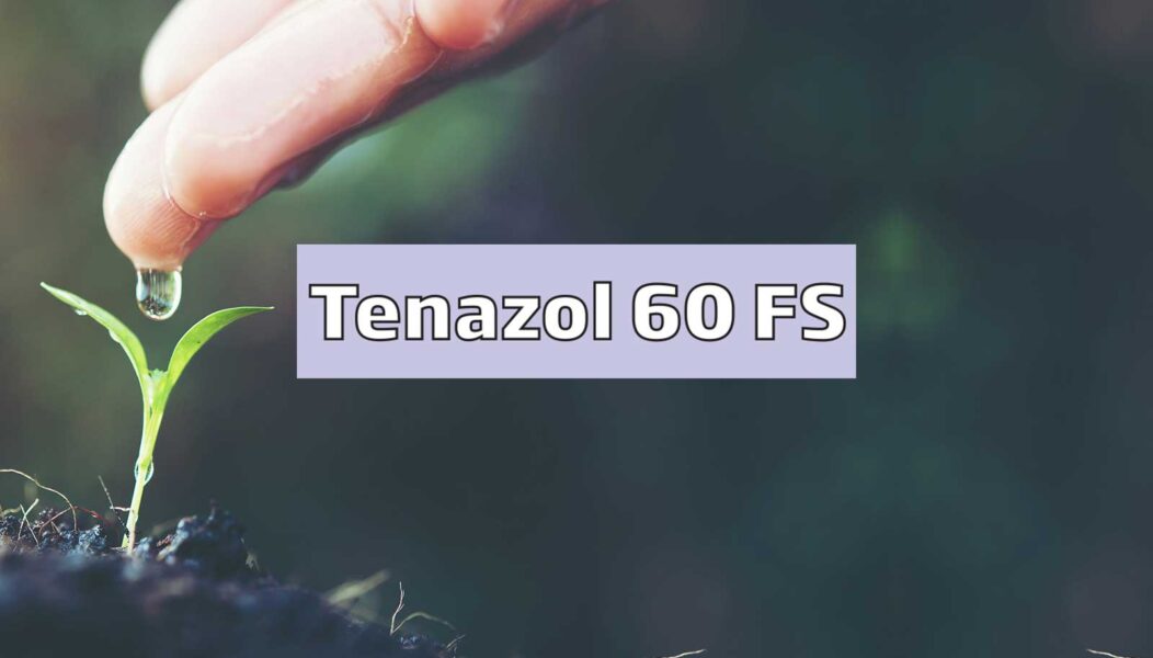 Tenazol 60 FS